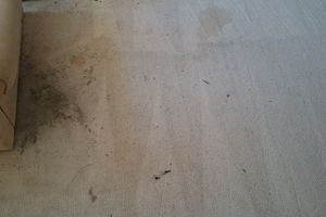 pranie wykładzin dywanowych i dywanów